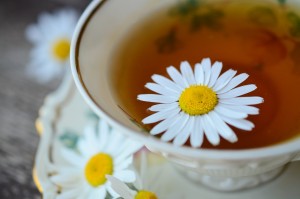 chamomile-829487_1280