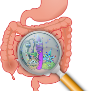 Can Antibiotics Cause Crohn’s Disease and Colitis?