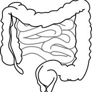 Leaky Gut Syndrome is Associated with Most Gut Disorders